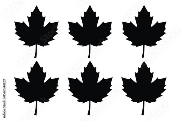 Fototapeta A vibrant vector illustration of isolated autumn maple leaves in various colors, perfect for fall season designs