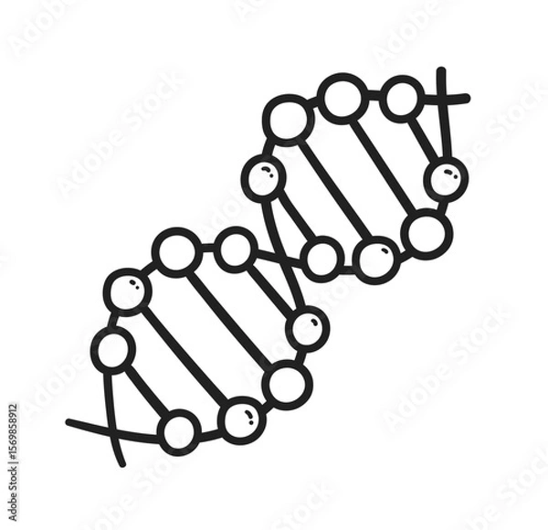 Fototapeta Vector illustration of DNA molecule in simple line art style for science and education.
