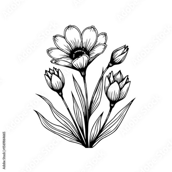 Fototapeta Detailed floral ink drawing displaying blooming flower and unopened buds in elegant botanical illustration