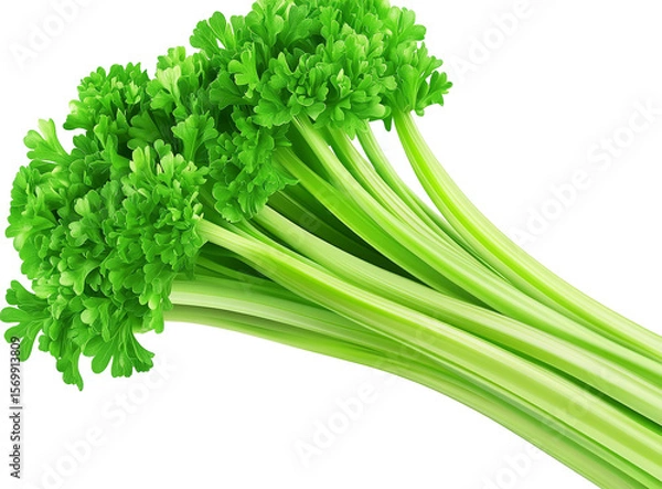 Fototapeta Fresh Celery Stalks Bunch, Vibrant Green, Isolated on Transparent PNG