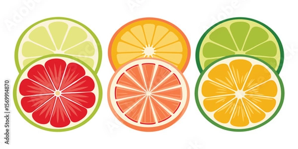 Fototapeta Six Circular Citrus Slices Lime Grapefruit Orange vector