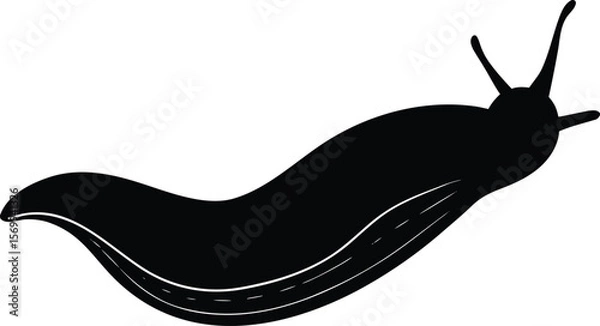 Obraz slug on white background.eps