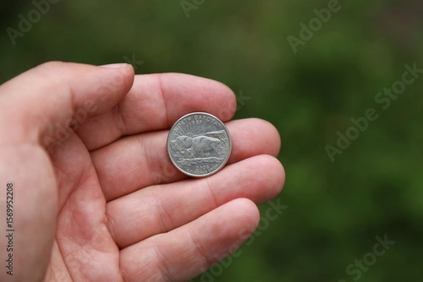Fototapeta Commemorative quarter coin in hand