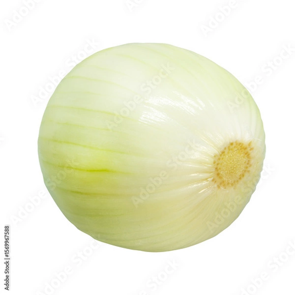 Fototapeta Peeled onion isolated on white background with clipping path