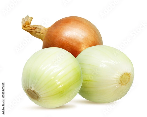 Fototapeta Onions isolated on white background  with clipping path