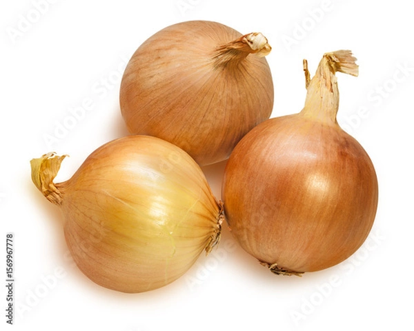 Fototapeta Onions isolated on white background  with clipping path