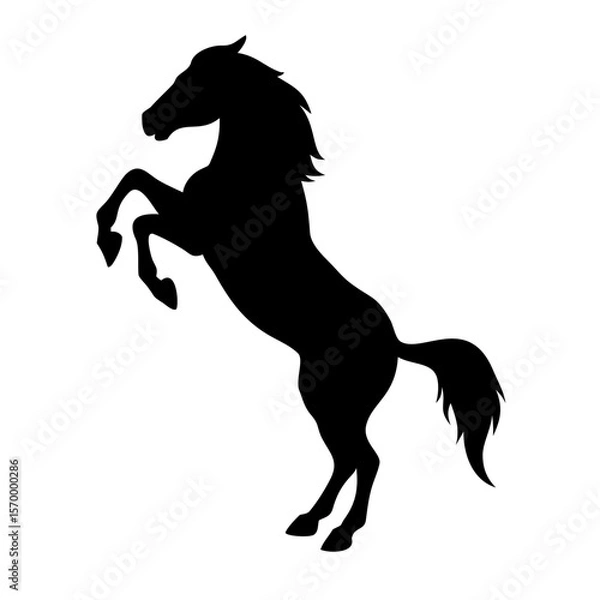 Obraz horse silhouette vector