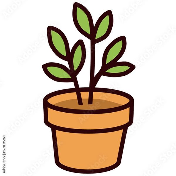 Obraz Natural plants 