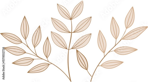 Fototapeta Minimalist Floral Illustration: Delicate branches with slender, textured leaves, evoke a sense of natural beauty and elegance. Perfect for adding a touch of organic charm to designs.
