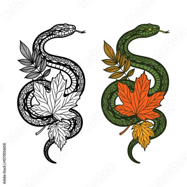 Fototapeta snake coiled around autumn leaves, tattoo design, black and colored sketch