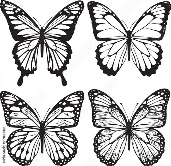 Obraz Butterfly Set Clipart – Detailed Black and White Insects set of vector butterflies