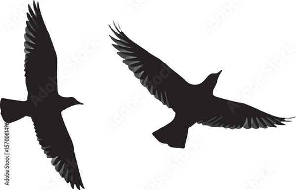 Obraz Bird Silhouette Clipart – Soaring Flying Bird Vector eagle flying in the sky