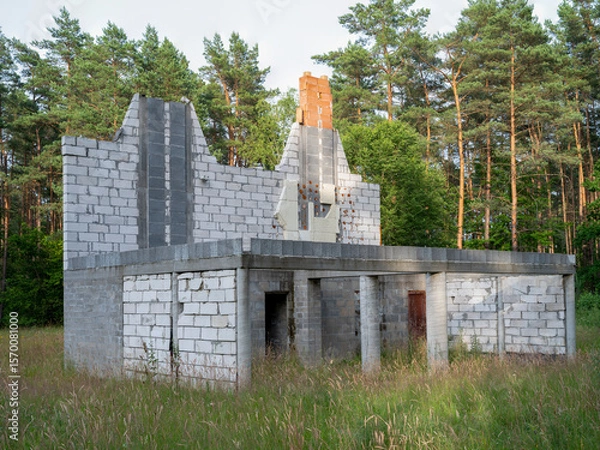 Obraz Abandoned building in the middle of the forest. Unfinished construction of a single-family home.