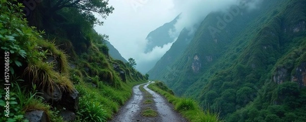 Fototapeta Mysterious Winding Mountain Path in Misty Rain, Adventure Hiking Trail, Stone Path, Wild Nature, Foggy Landscape Photography