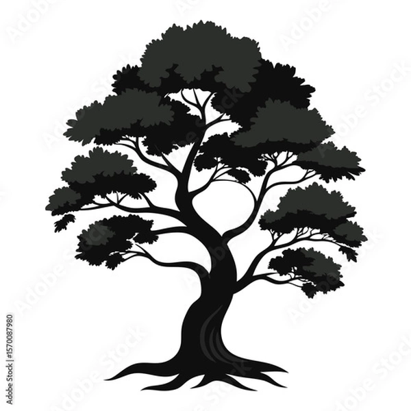 Fototapeta Juniper Tree Vector black color on white color bacground