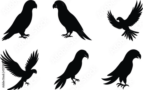 Obraz Eclectus Parrot Silhouette Perched Forward Vector Illustration