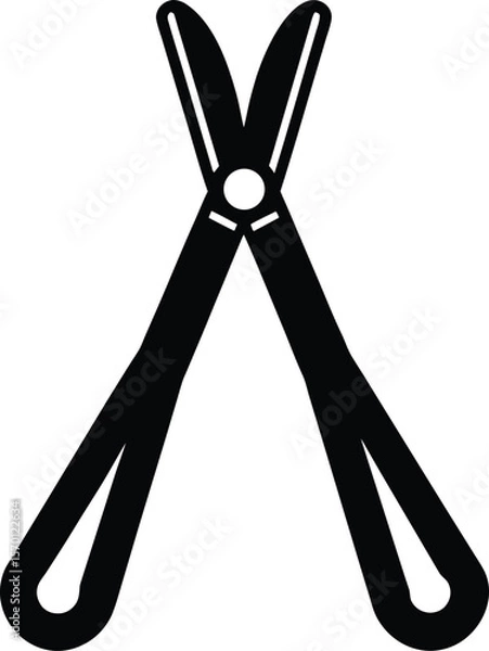 Obraz tongs on white background.eps