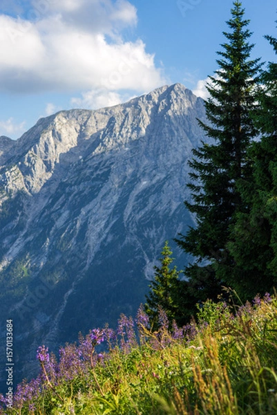 Fototapeta Panoramablick auf die Alpen von der Panoramastraße 