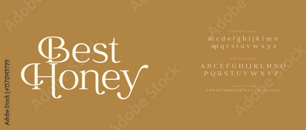 Fototapeta Best honey Font Uppercase Lowercase And Number. Classic Lettering Minimal Fashion Designs. Typography modern serif fonts regular decorative vintage concept. vector illustration
