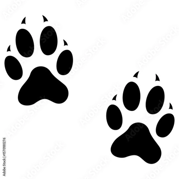 Fototapeta Transparent PNG file of Monochrome vector graphic of a foxes paw prints