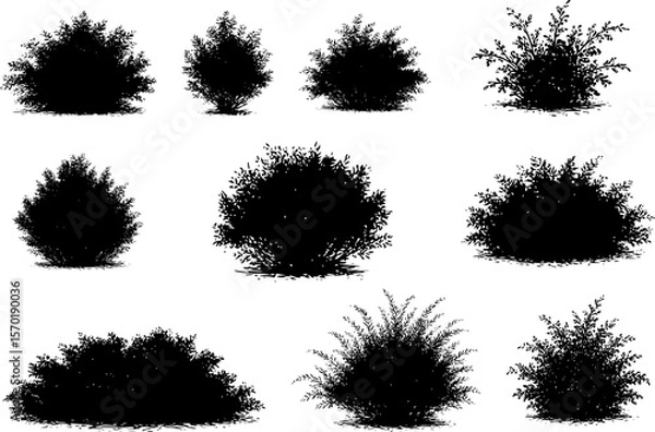 Obraz bush set silhouettes for backgrounds