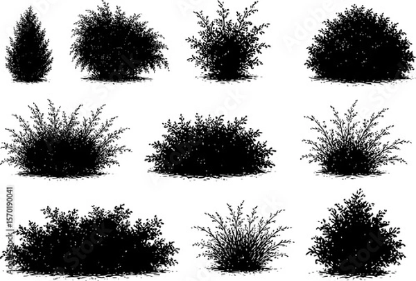 Obraz bush set silhouettes 