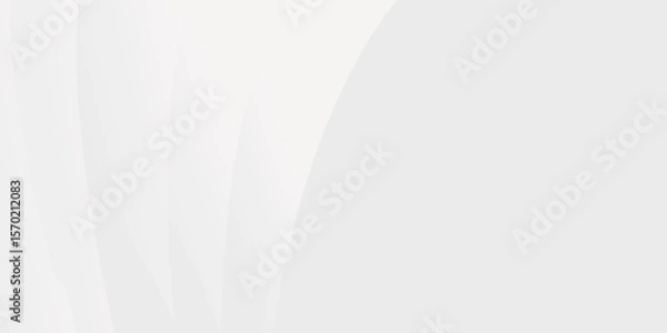 Fototapeta Subtle white and grey abstract background with flowing curves. Clean, modern design.