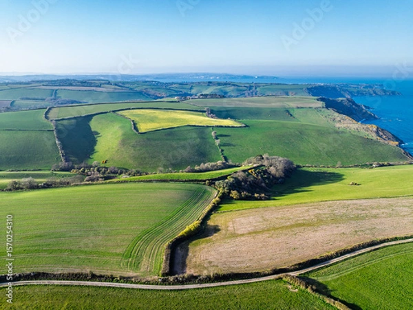 Fototapeta Farms and Fields over Brixham and Kingswear from a drone, Devon, England