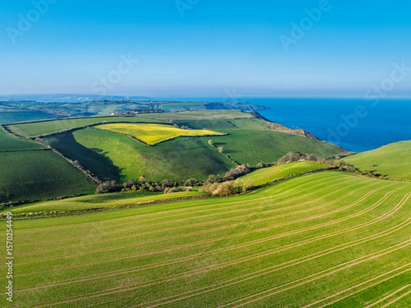 Fototapeta Farms and Fields over Brixham and Kingswear from a drone, Devon, England