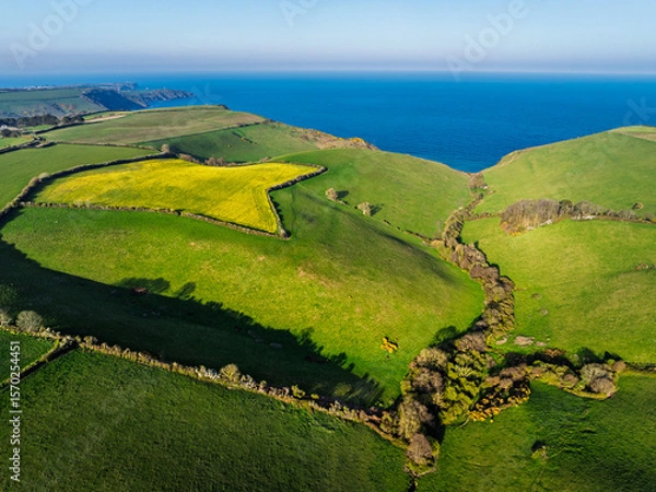 Fototapeta Farms and Fields over Brixham and Kingswear from a drone, Devon, England
