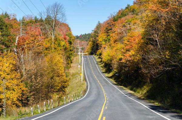 Fototapeta Empty Upward Road through a Beautiful Autumn Forest on a Sunny Day