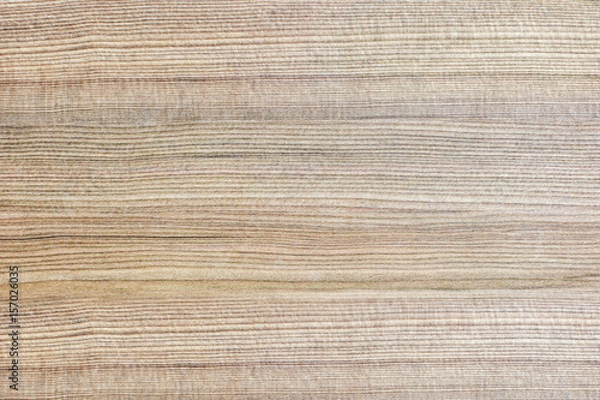 Obraz modern wood texture