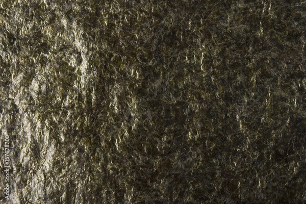 Obraz Dried Seaweed Sheets Texture