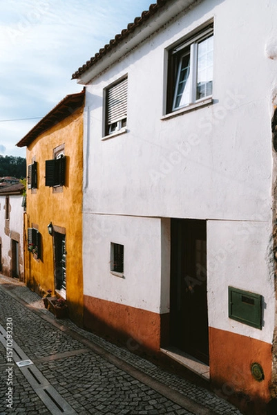Obraz Traditional Portuguese architecture shines in Tarouca, with colorful houses lining a charming cobblestone street, creating a picturesque scene under the clear sky