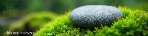 Fototapeta Tranquil Grey Stone Nestled in Lush Moss Peaceful Nature Scene, Relaxation and Serenity