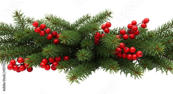 Fototapeta Isolated Christmas Pine Branches with Red Berries Holiday Decoration
