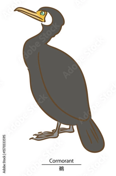 Obraz 鳥、手で描いた鵜の横向き全身のベクターイラスト