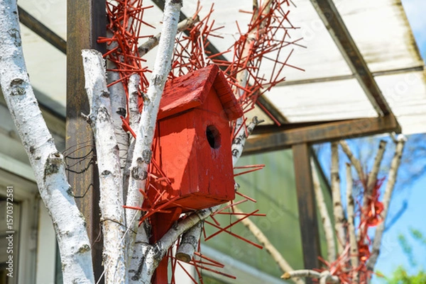 Fototapeta Rustic red birdhouse on birch trunks and red twigs in autumn light. Handcrafted seasonal decor brings vibrant charm to the backyard setting.