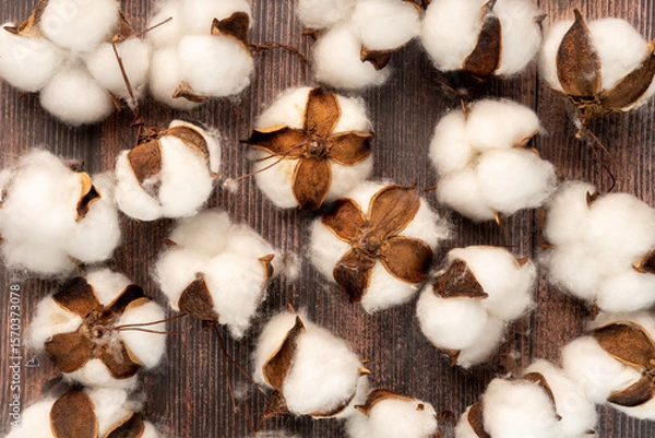 Fototapeta Natural artificial cotton buds scattered on a rustic wooden surface. Perfect for handmade decorations, eco-friendly crafts, and autumn-inspired designs with a warm, cozy vibe