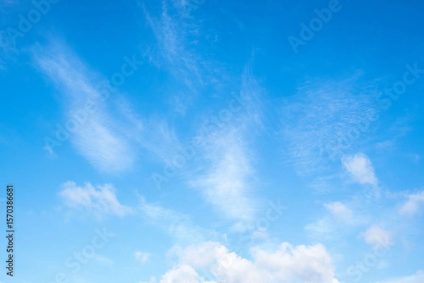 Fototapeta 夏の空　青空と雲01