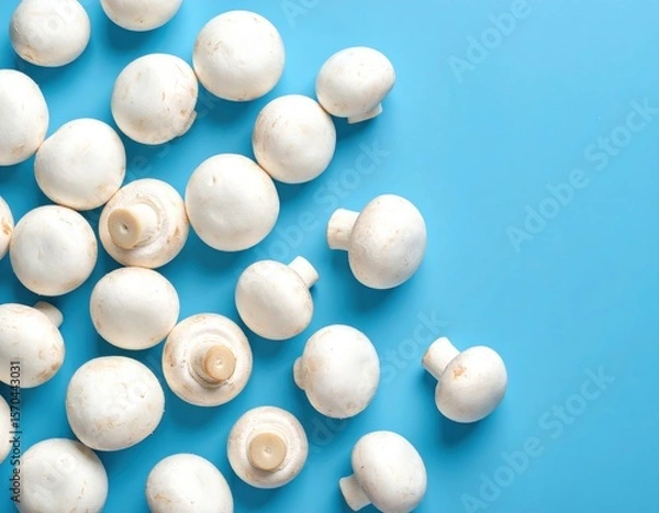 Obraz Fresh white button mushrooms scattered on a bright blue background, showcasing their smooth caps and short stems.