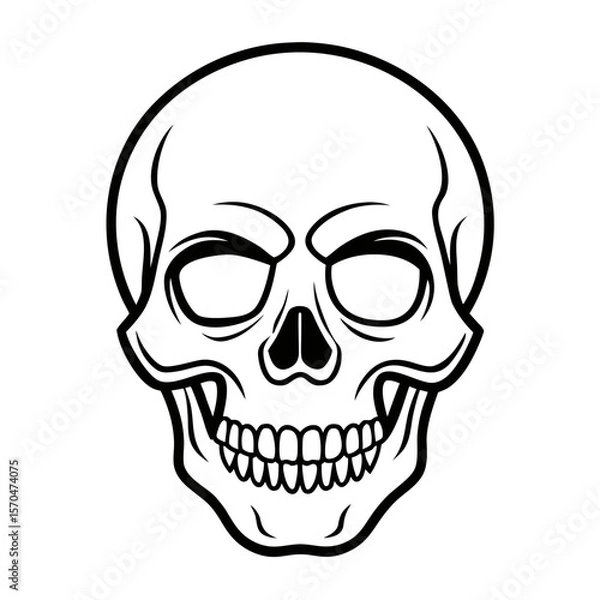 Fototapeta human skull vector illustration