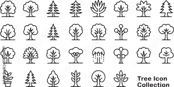 Fototapeta Trees line icon set. Vector pictograms of roots, branches, leaves, fruit, apple, orange, evergreen, tropical, thin linear illustration.