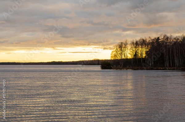 Fototapeta Calm sunset glow reflected on lake water with bare trees and dramatic clouds. Tranquil sunset scene, soft golden reflections on rippling water, low angle, lakeside serenity, peaceful atmosphere, moody