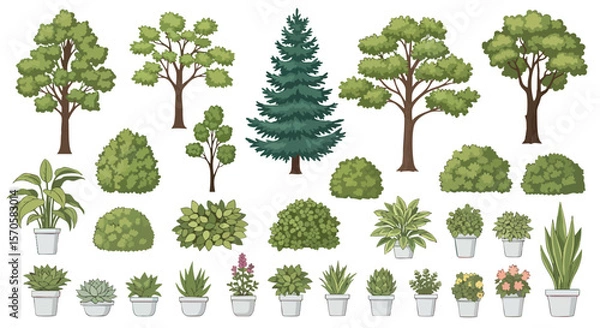 Fototapeta Diverse Vector Set of Green Trees, Bushes, and Potted Plants Collection Isolated on White