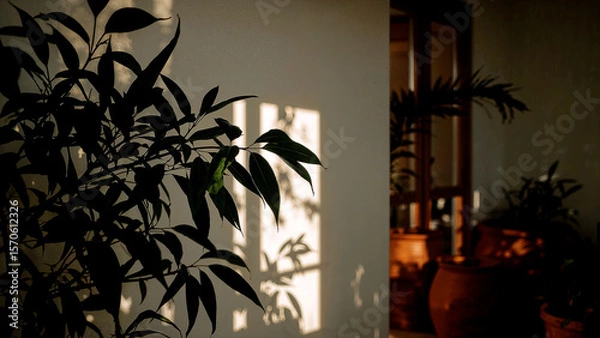Fototapeta Soft light filtering through leaves and clay pots