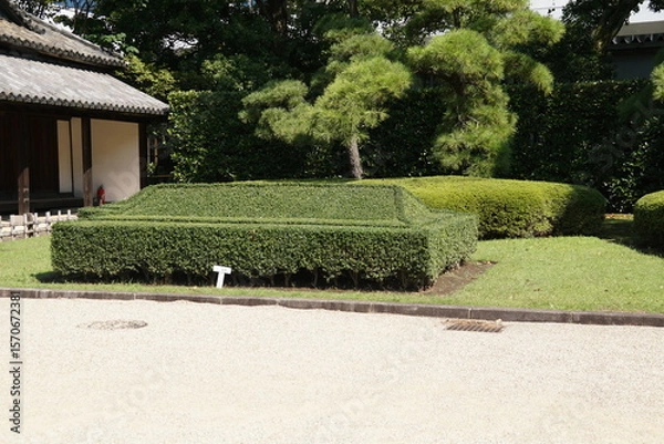 Fototapeta 百人番所・植木