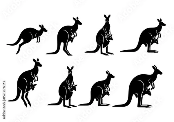 Fototapeta Vector silhouette of collection of black kangaroo silhouettes in various poses isolated on white background