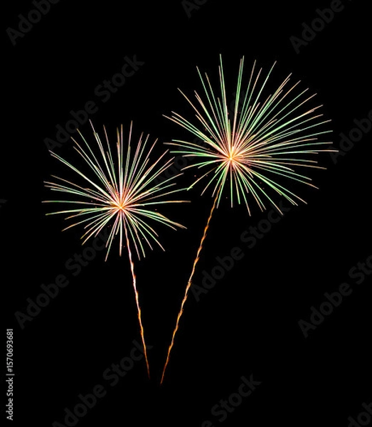 Fototapeta Colorful firework sparkling on black background for celebration and anniversary