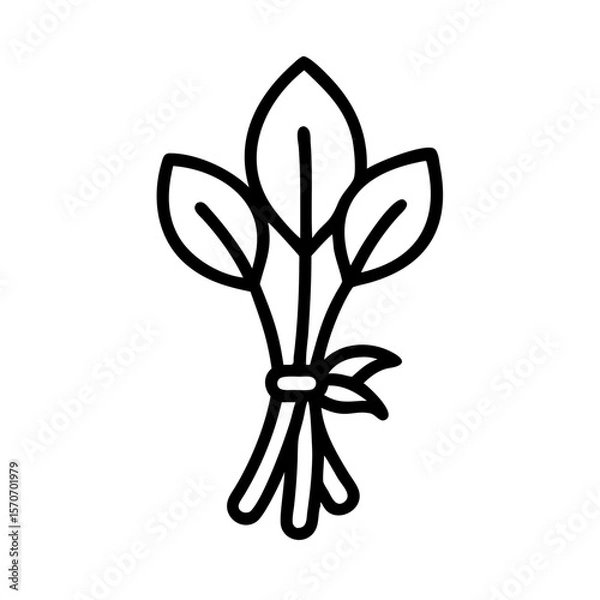 Obraz Bundle of herbs with leaves tied together for culinary use  